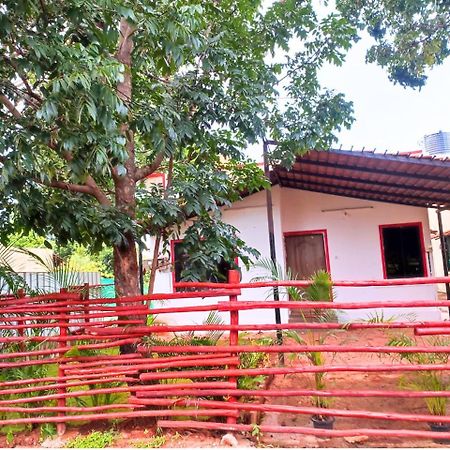 Golden Magnolia Homestay Bangalore Dış mekan fotoğraf